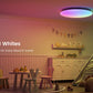 Yeelight Arwen Ceiling Light D Series (RGBIC, Quick Change, Backlight)