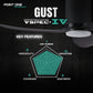 Point One Gust VSPEC-IV Smart Ceiling Fan (Blade 01)