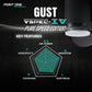 Point One Gust VSPEC-IV PURESPEED Edition Smart Ceiling Fan