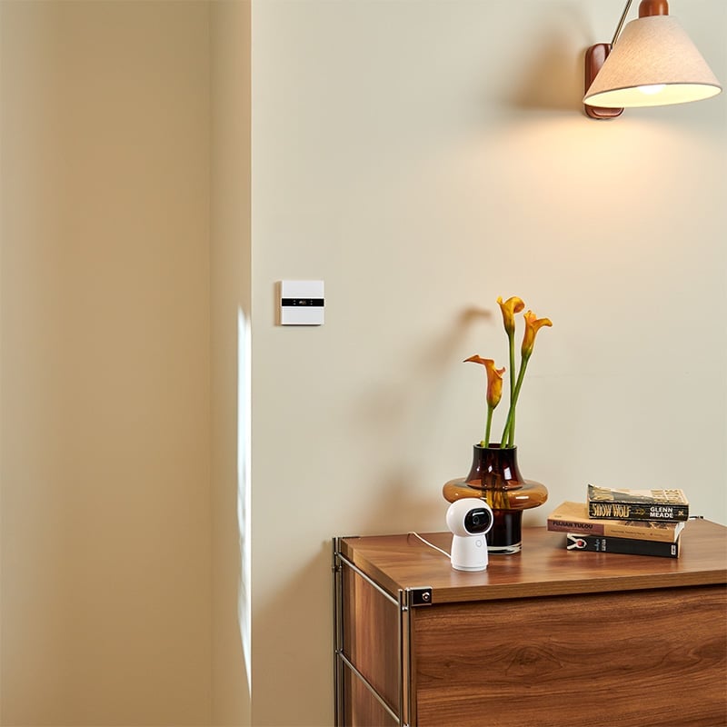 Aqara Display Switch V1