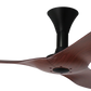 PO ECO VORTEX VSPEC-IV RS [TYPE-II]