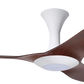 PO ECO VORTEX VSPEC-IV RS [TYPE-II]