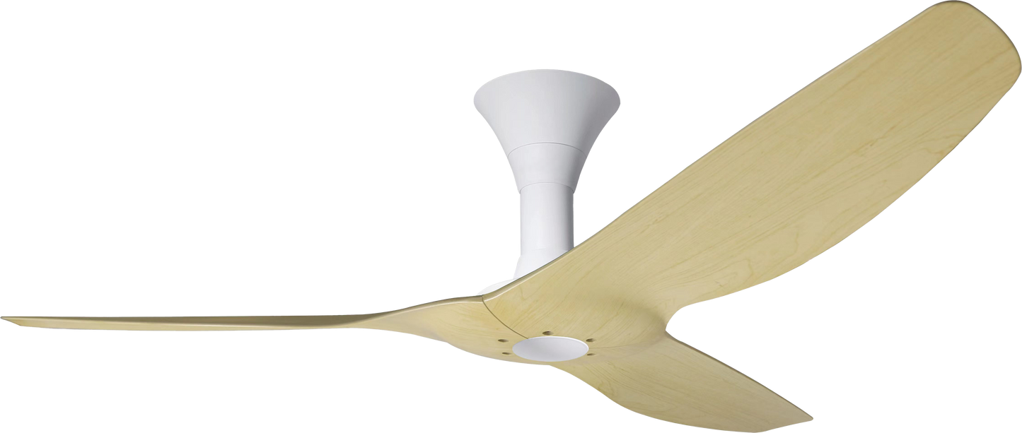 PO ECO VORTEX VSPEC-IV RS [TYPE-II]