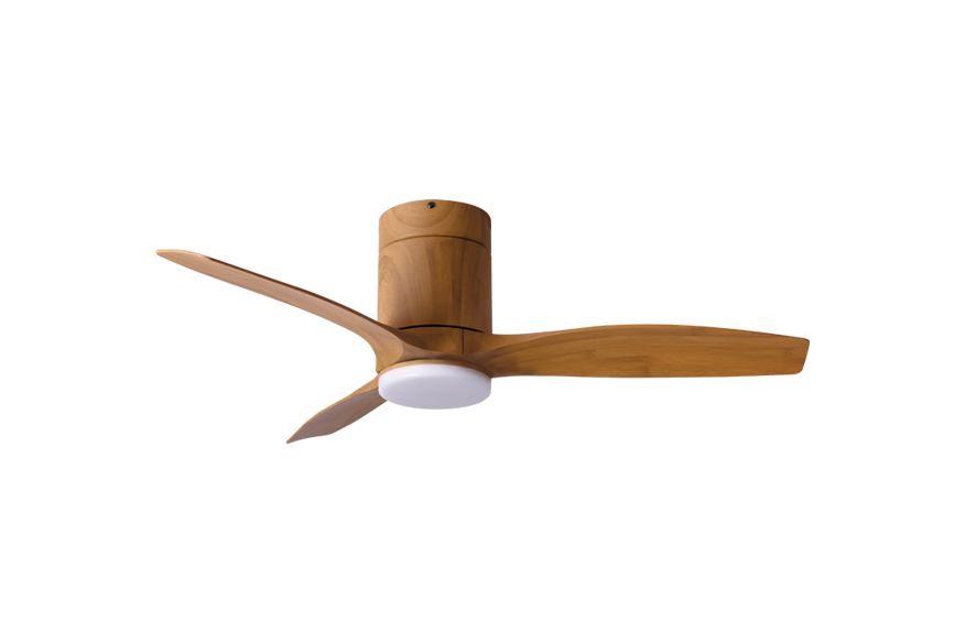 SPIN SIGNATURE FAN Sweet Caramel - Natural Grain