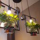 Frame Series Pendant Lamp - Green Frame - Three Cubes Lightings (Singapore)
