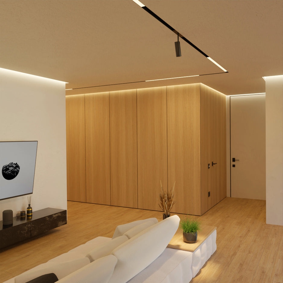 NEAR Magnetic Track System (ZIGBEE Version)