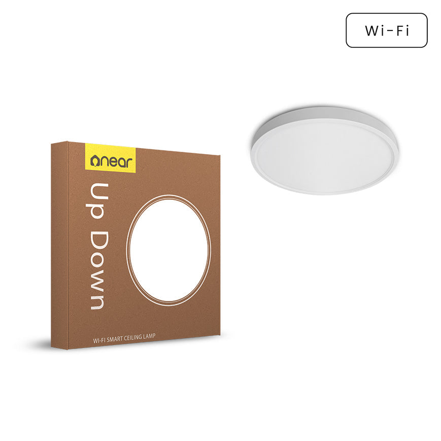NEAR LED Ceiling Round Lamp Up-Down (20W)