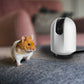 NEAR IP Camera, Indoor, Pan & Tilt, Full HD Recording (Wi-Fi)